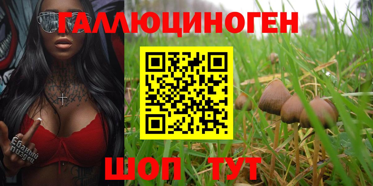 Галлюциногенные грибы прущие грибы Тверь