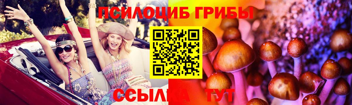 Галлюциногенные грибы ЛСД  Вход с VPN  где можно купить наркотик  Тверь  Псилоцибиновые грибы Psilocybe 